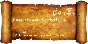 Csernicsek Borbála névjegykártya